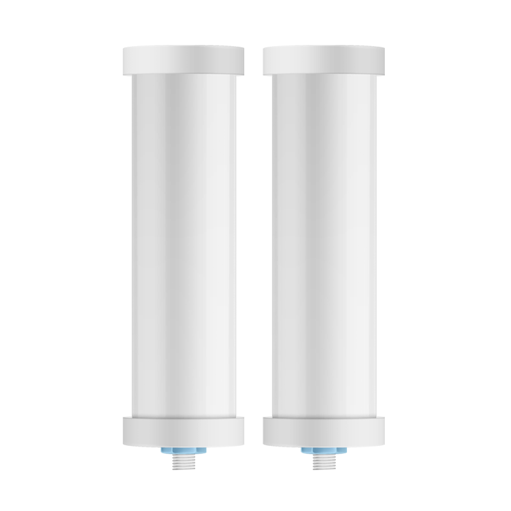 A1 AbsolutePure 直飲濾水器濾芯免運2入組