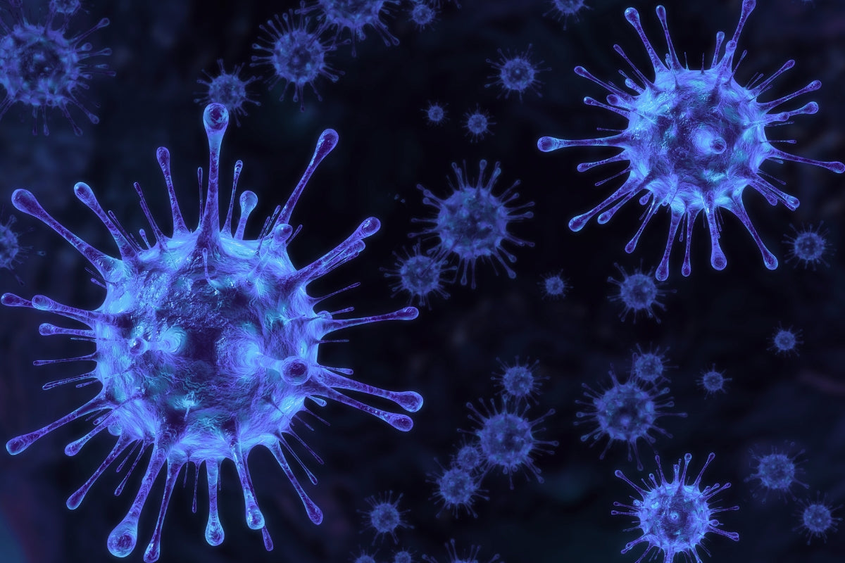 日本研究證實！原來「它」能大幅降低新冠病毒的活性 ？！