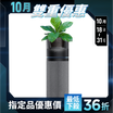 【PrimeZone】O2 Purifier 空氣清淨機